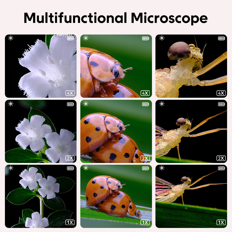 Mikroskop Optik Anak Mini deng - Kids Toys Videos ulasan dan harga